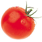 tomato.jpg